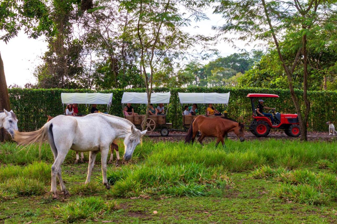 Hotel Campestre La Potra Apiay Luaran gambar